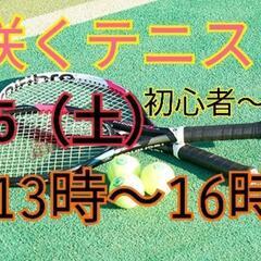 土曜昼・硬式テニスメンバー（初心者-中級者）募集中