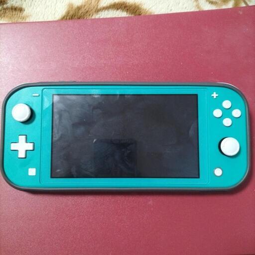 Switchライト本体のみ