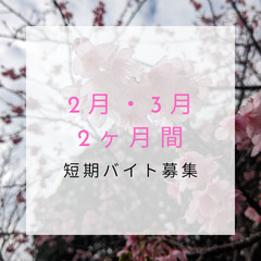 【学生服リサイクルショップ】2月、3月2ヶ月間の短期バイト募集！！