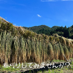 美味しいご飯を食べるまで！　田植え～稲刈り～脱穀 - イベント