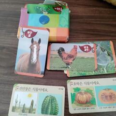 韓国語絵カード