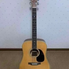 CatsEyes　CE800前期アコースティックギター