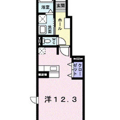 Ｓｔａｒ　Ｂｅａｒ105🏡敷金礼金ゼロ、フローリング、全居室収納、洗面所独立、角部屋、モニター付きインターホン - 大分市