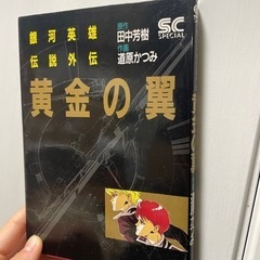 銀河英雄伝説（1〜11巻）+黄金の翼　田中芳樹