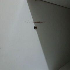 ジモティ来店特価!!!　2枚扉食器棚　ホワイト　　J-0152