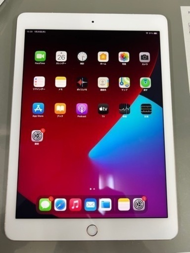 訳あり　iPad Pro 第2世代　256GB セルラーモデル　9.7inch