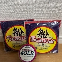 【特典付き】ダイワ　ショアジギング　セット