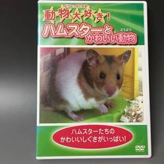 🔷🔶🔷Fy1/64　DVD　動物大好き！　ハムスターとかわいい動...