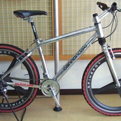 Cannondale HeadShock MTB