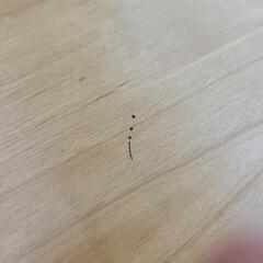 家具ならトレファク吉川店！！ ニトリ ダイニング3点セット アルナス ナチュラル×アイボリー