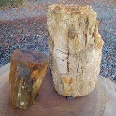 岩石　化石か溶岩か珪化木の化石で溶けた部位はメノウとの情報寄せら...