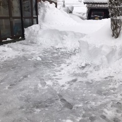 新潟市内での雪かき手伝います(^^)