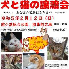 犬と猫の譲渡会～～あなたの家族になりたい！～～