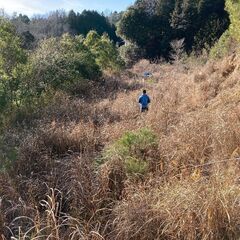 【成約済】山林物件116　愛知県 - 豊田市