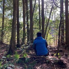 【成約済】山林物件116　愛知県 − 愛知県