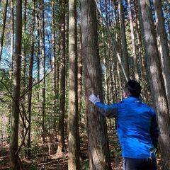 【成約済】山林物件116　愛知県 - 土地販売/土地売買