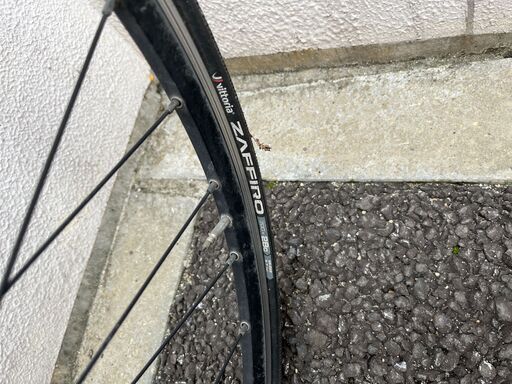 Bianchi　ビアンキ　カメレオンテ