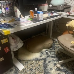 flexispot Ej2昇降テーブル 脚のみ 2月5日お渡し可能