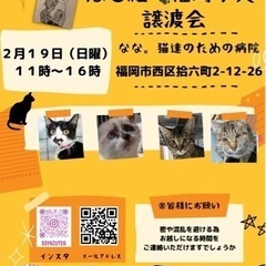 2/19ねこ組🐾福岡中譲渡会atなな。猫達のための病院
