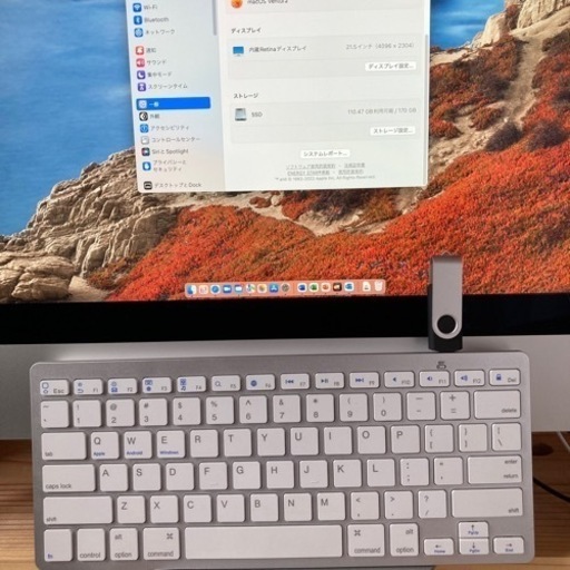 iMac 21.5 2019 Retina 4K 16G A2116 おまけ付 | noonanwaste.com