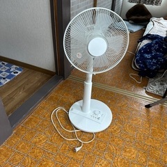 「美品」ニトリ　30cm リビング扇風機