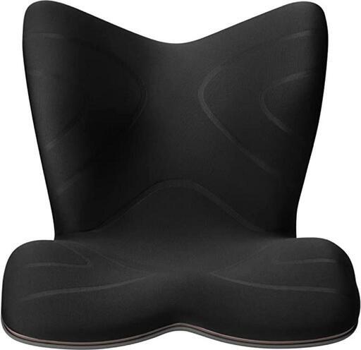 Style PREMIUM / スタイルプレミアム　体型矯正椅子　ブラック