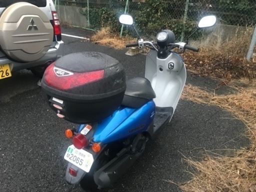 ホンダTODAY 原付スクーターAF67 | amidomil.com.br