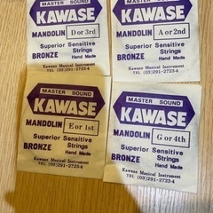 KAWASEのマンドリン