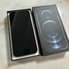 【ネット決済・配送可】iPhone12pro 256GB silver