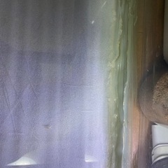 ニッソー　スティングレー９００