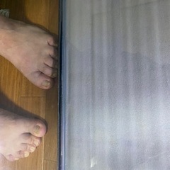 ニッソー　スティングレー９００