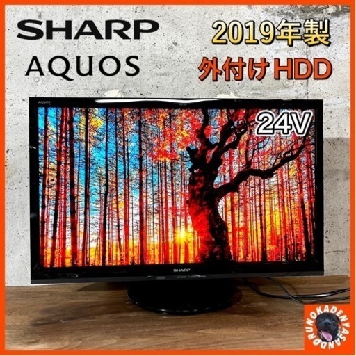【ご成約済み】SHARP AQUOS 薄型テレビ 24型✨ 2019年製⭕️ 配送無料