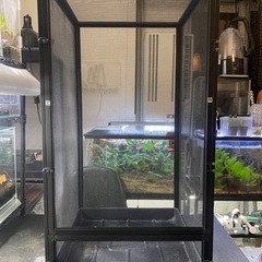 爬虫類・カメレオン飼育セット（メッシュケージ バスキングライト