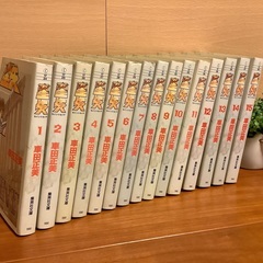 【古本】聖闘士星矢(セイントセイヤ)文庫、全15巻
