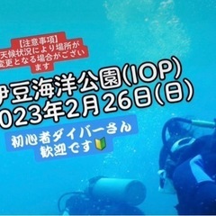 2/26 ファンダイビング募集 伊豆海洋公園(IOP)