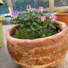 テラコッタのアンティーク植木鉢 