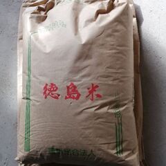 古米　令和三年産コシヒカリ　玄米30kg