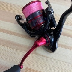 DAIWA 月下美人　アジングセット