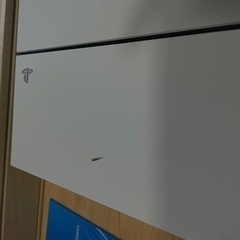 PS4 グレイシアホワイト 箱有