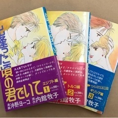 少女漫画　出会った頃の君でいて