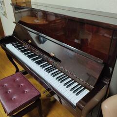 【明日2/1まで】ライトアップ　ピアノ　TOKAI