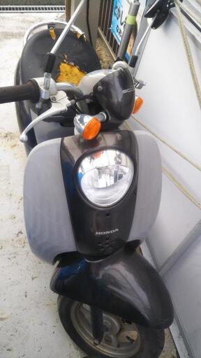 スクーピー　ホンダ　原付　バイク　50cc　スクーター