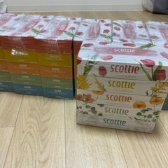 SCOTTLE ティッシュ