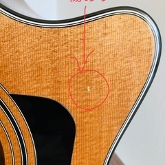 Taylor 312 ce アコースティックギター