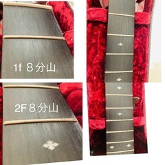 Taylor 312 ce アコースティックギター