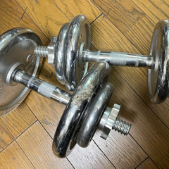 ダンベル2本セット（11kg、8kg）