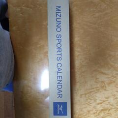 カレンダー2023 ミズノスポーツカレンダー