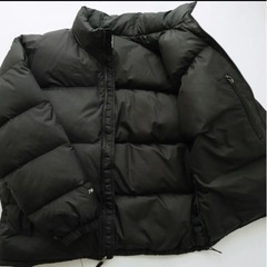 US規格　ザノースフェイス　刺繍ロゴ　ヌプシ　ダウンジャケット