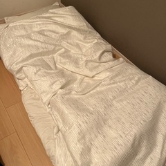 【1/30AM引取可能な方】羽毛布団と枕のセット　ダブルサイズ
