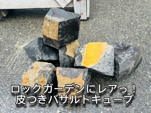 ビンテージ風！110個で！ロックガーデンに！レア！皮つきブラックピンコロ